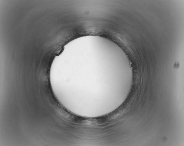 X0000091540317200709141501