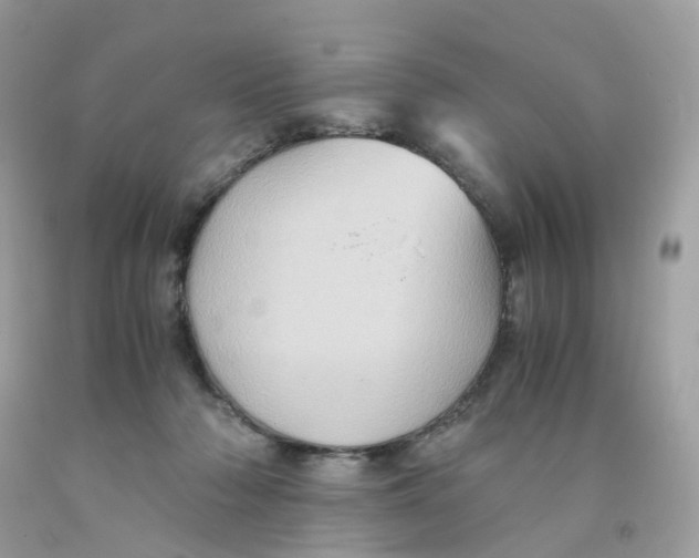 X0000091540318200709141501