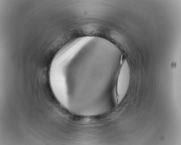 X0000091540319200709141501