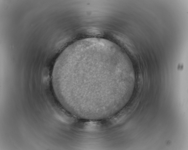 X0000091540320200709141501