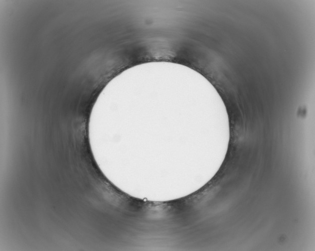 X0000091540321200709141501