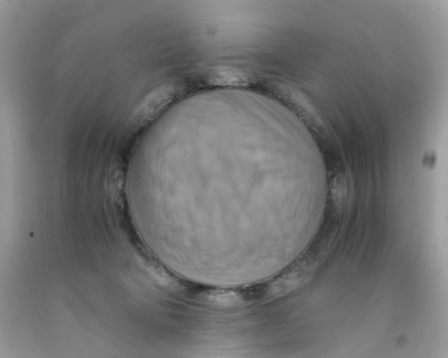 X0000091540322200709141501