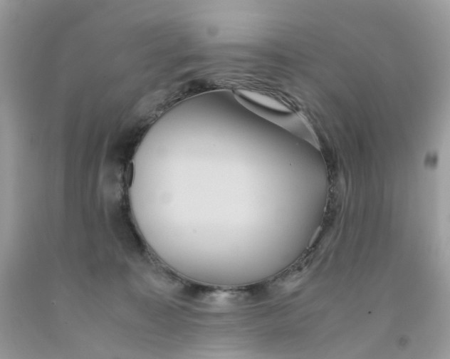 X0000091540323200709141501