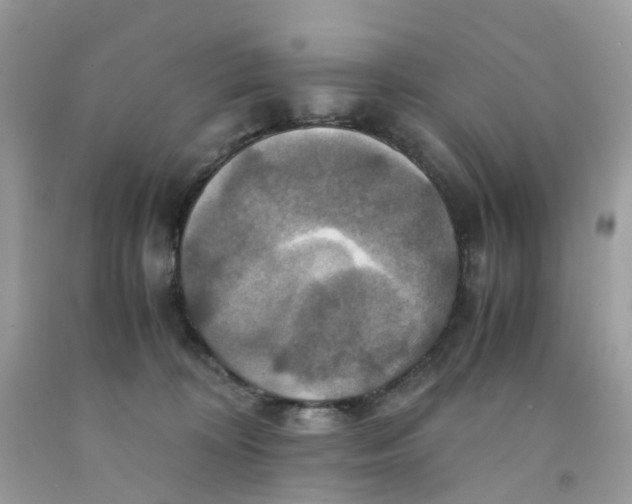 X0000091540324200709141501