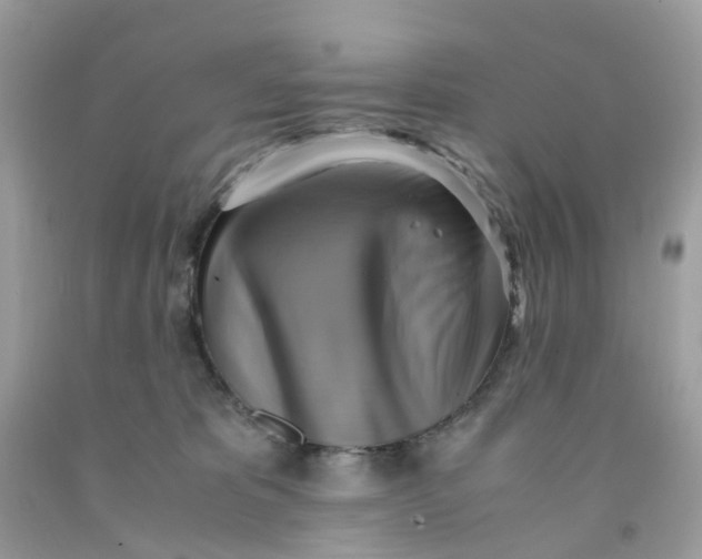 X0000091540325200709141501