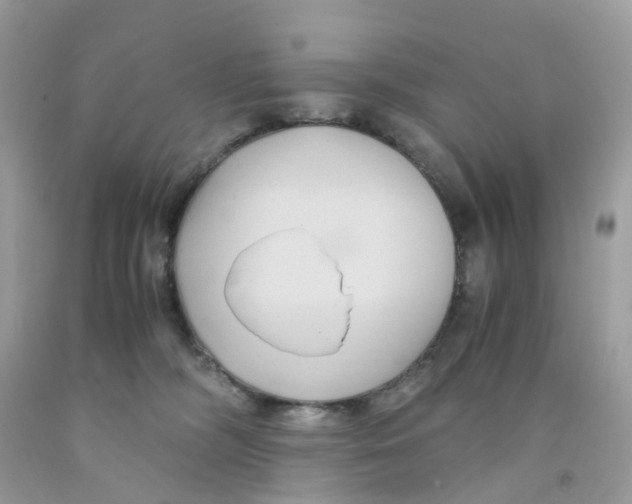 X0000091540326200709141501