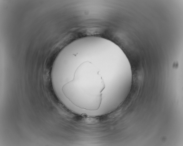 X0000091540327200709141501