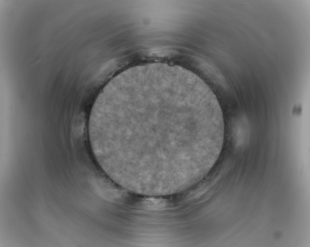 X0000091540328200709141501