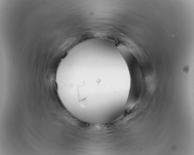 X0000091540329200709141501