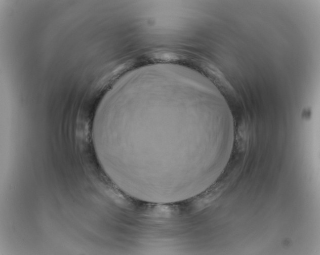 X0000091540330200709141501