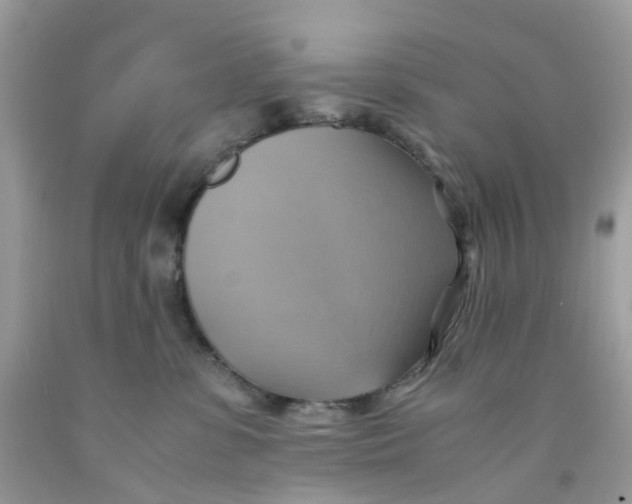 X0000091540331200709141501