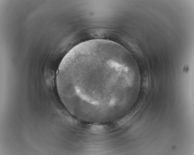 X0000091540332200709141501