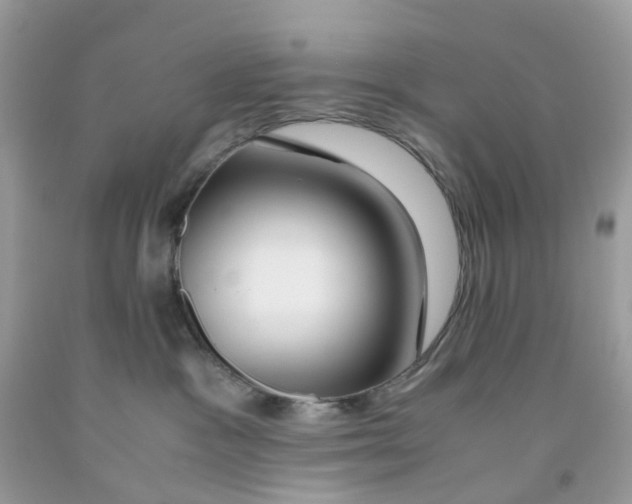 X0000091540333200709141501