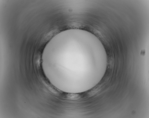 X0000091540334200709141501