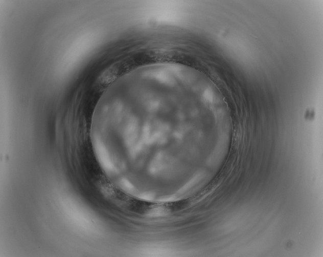 X0000091540335200709141501