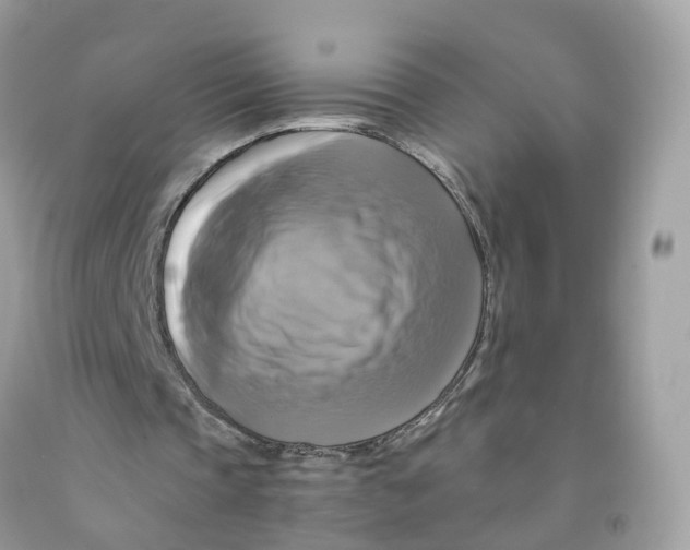 X0000091540337200709141500