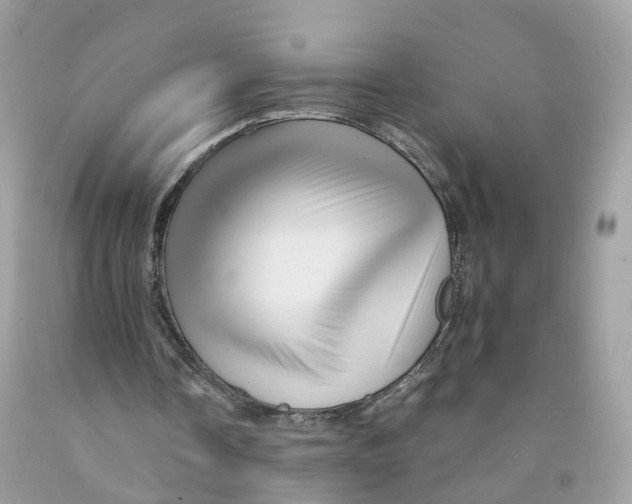 X0000091540338200709141500