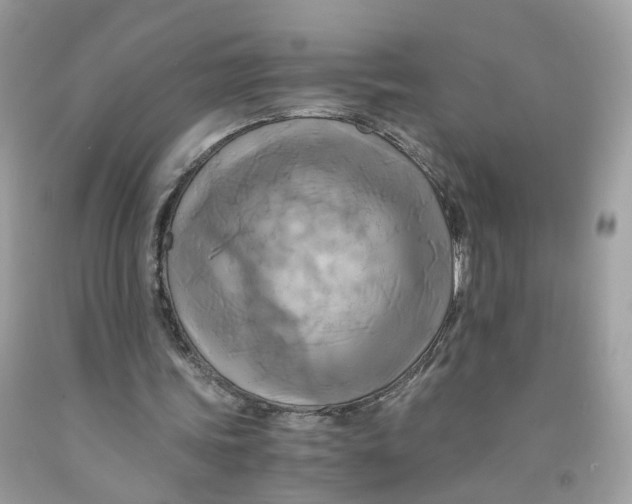 X0000091540339200709141500