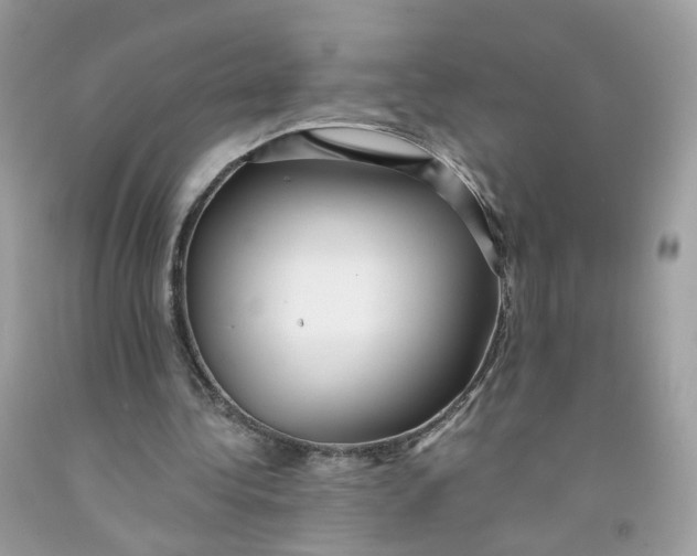 X0000091540340200709141500