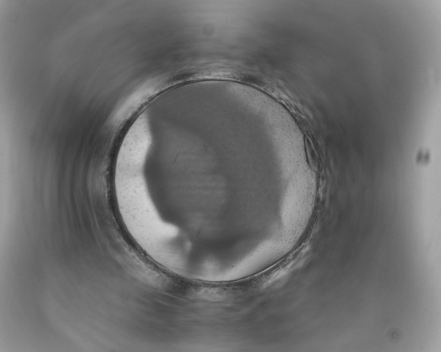 X0000091540341200709141500