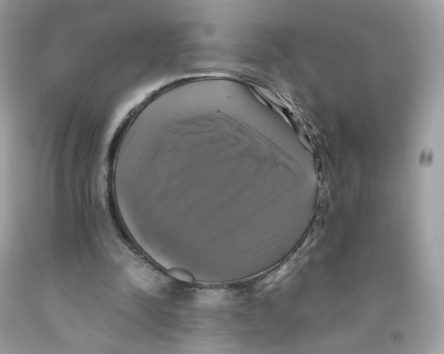 X0000091540342200709141500