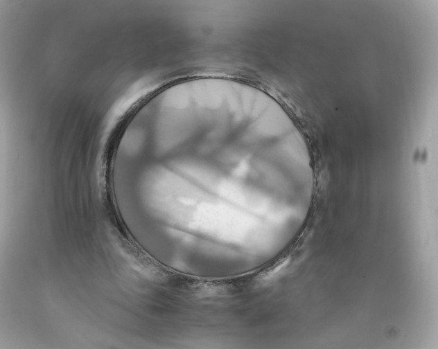 X0000091540343200709141500