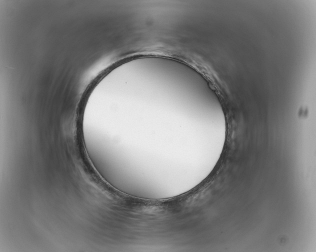 X0000091540344200709141500