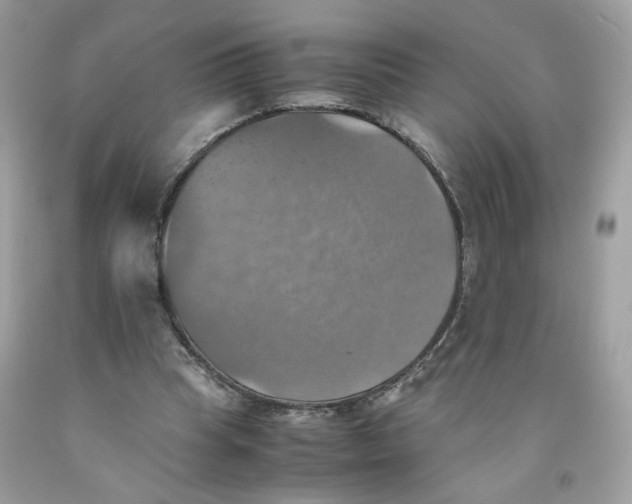 X0000091540345200709141500