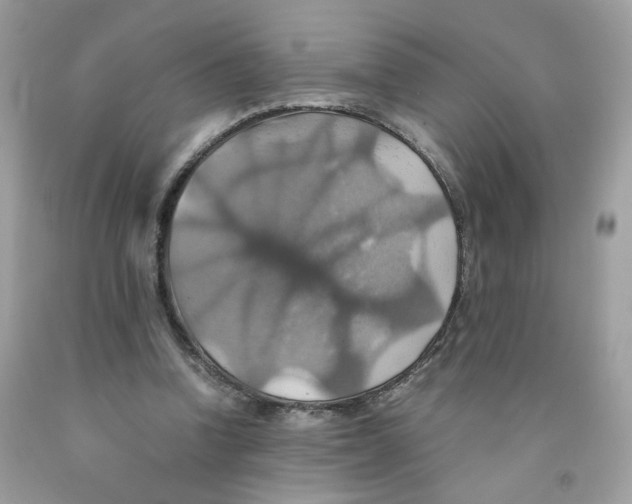 X0000091540346200709141500