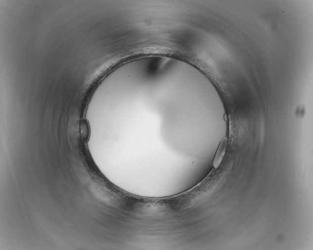 X0000091540348200709141500