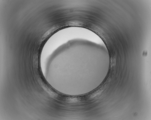 X0000091540349200709141500