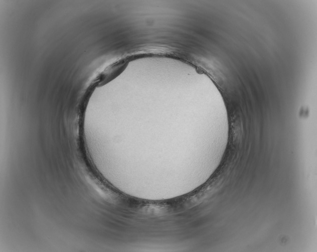 X0000091540350200709141500