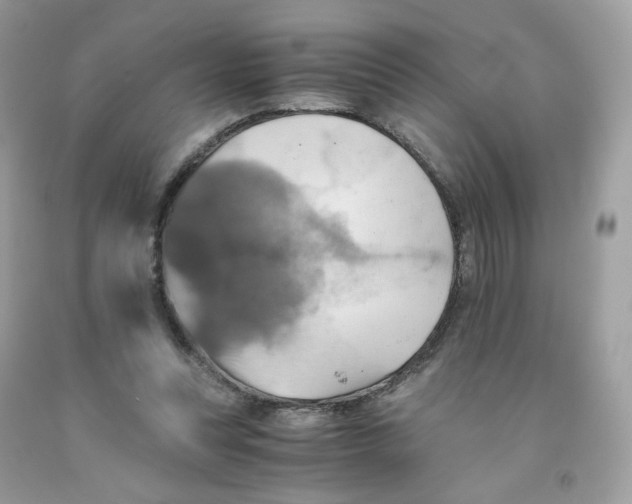 X0000091540351200709141500