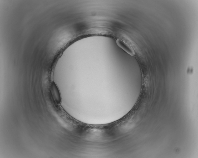 X0000091540352200709141500