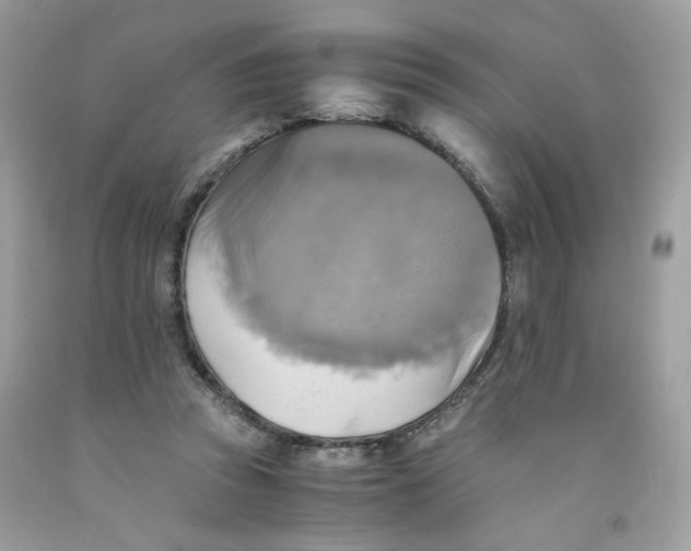 X0000091540353200709141500