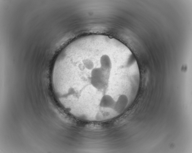 X0000091540354200709141500