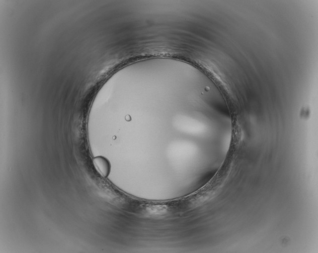 X0000091540355200709141500