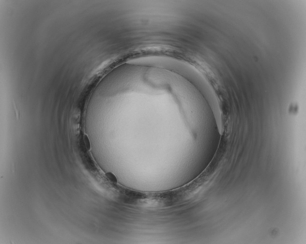 X0000091540356200709141500