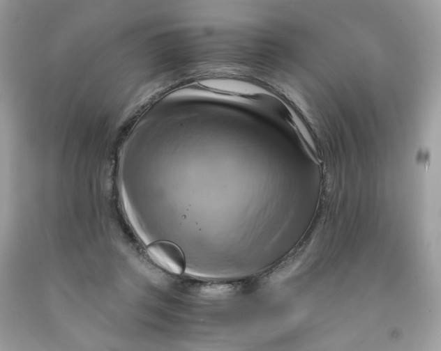 X0000091540357200709141500