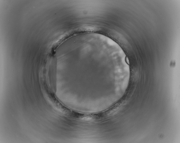 X0000091540358200709141500