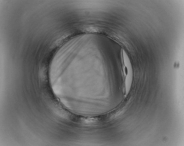 X0000091540359200709141500