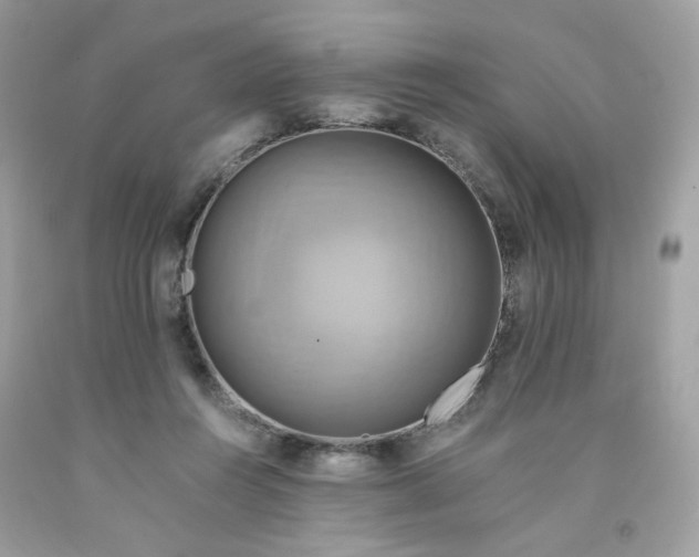 X0000091540360200709141500