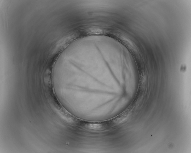 X0000091540361200709141500