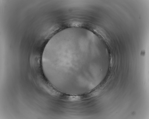 X0000091540363200709141500