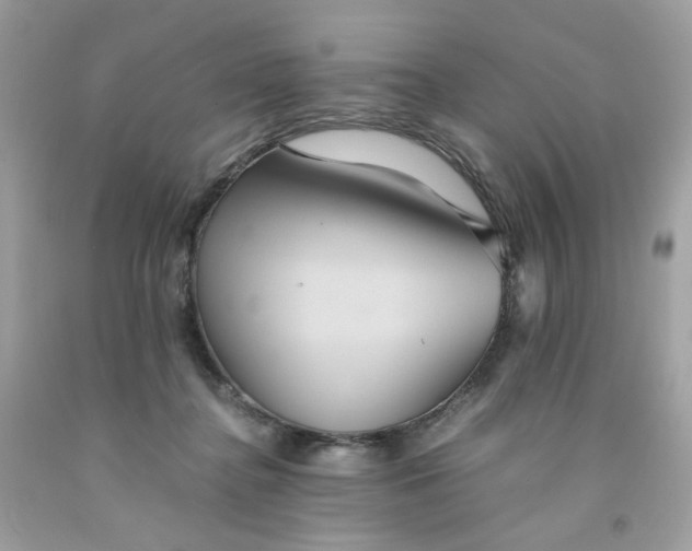 X0000091540364200709141500