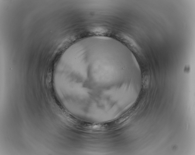 X0000091540365200709141500