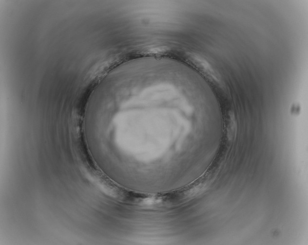 X0000091540366200709141500