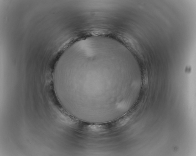 X0000091540367200709141500