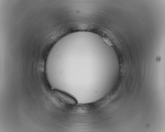 X0000091540368200709141500