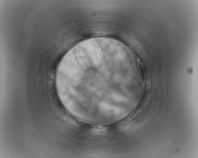 X0000091540369200709141500